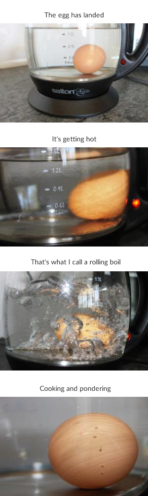 cooking egg in kettle